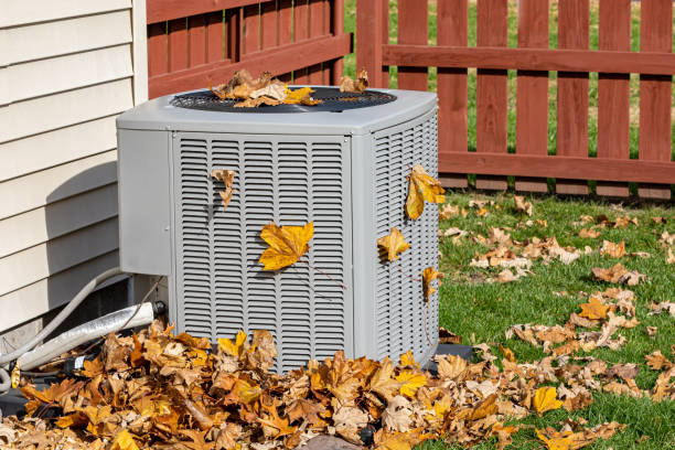 Best Affordable HVAC Services  in Wayne, WV
